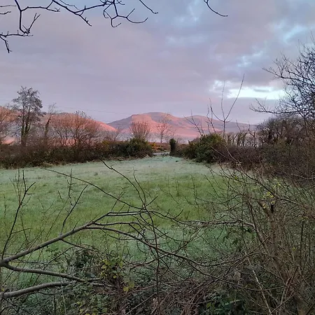 Knockbrack