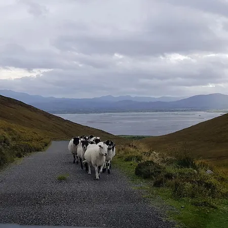 Knockbrack *