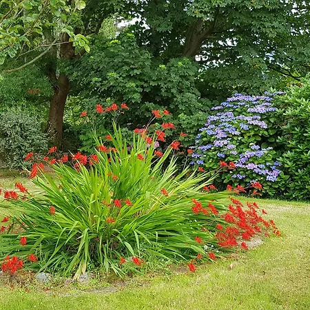 Knockbrack Ferienhaus *