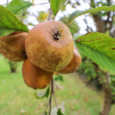 Knockbrack Holiday home Knockaunnaglashy