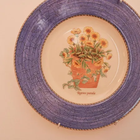 Knockbrack Semesterbostad