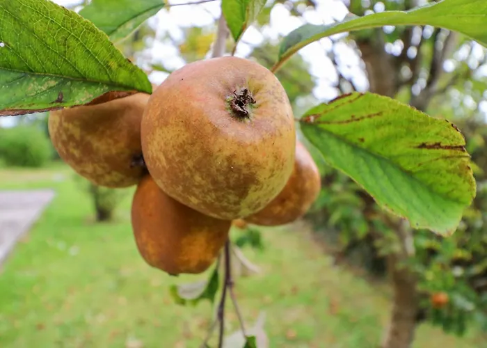 Knockbrack Holiday home Knockaunnaglashy